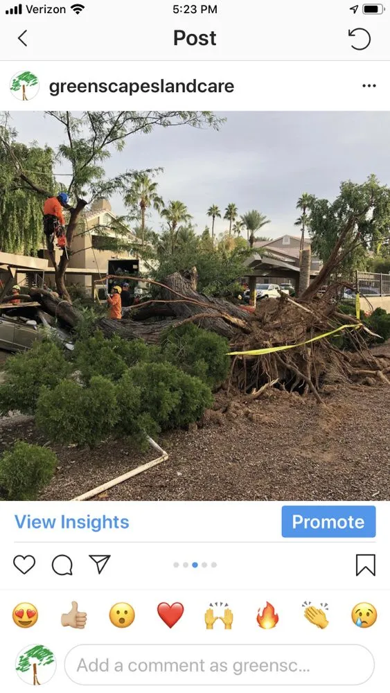 Professional outdoor landscaping near you across Phoenix, AZ - Greenscapes Landcare