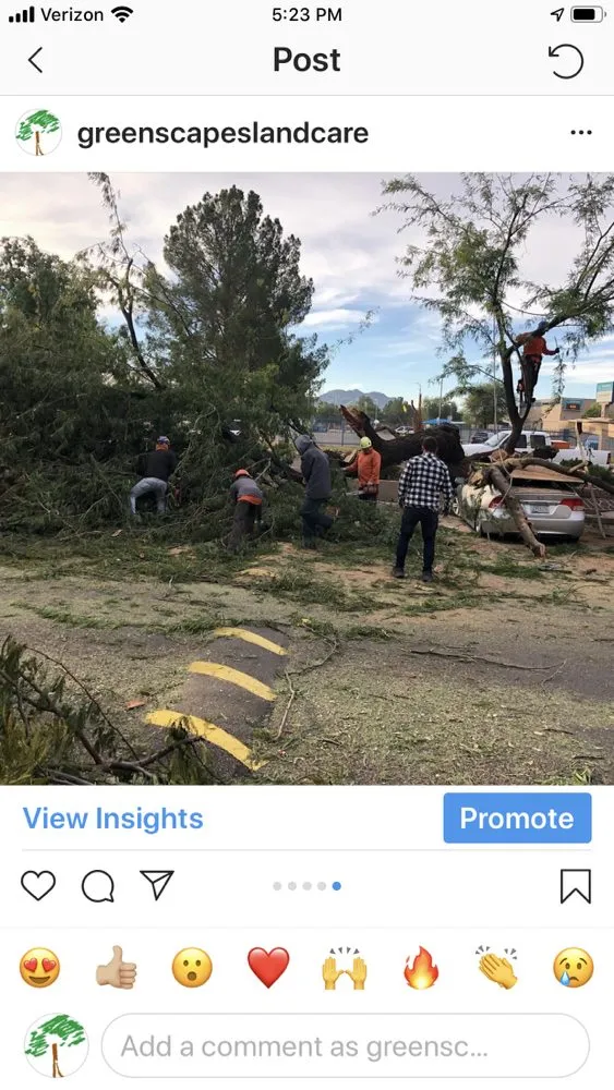 Reliable lawn care service in Phoenix, AZ by Greenscapes Landcare