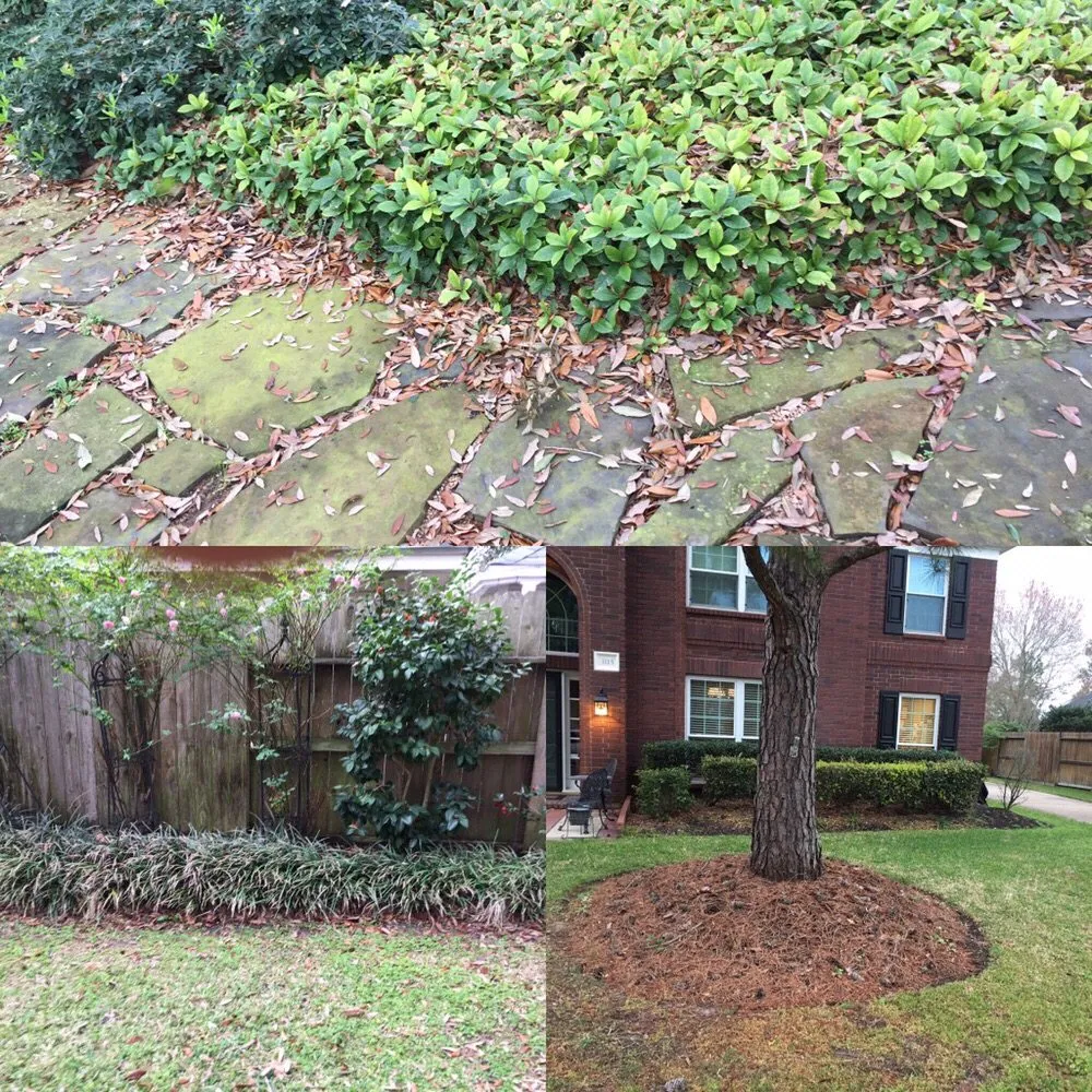 Affordable landscape installation in Houston, TX by Greenscapes Landscape & Irrigation