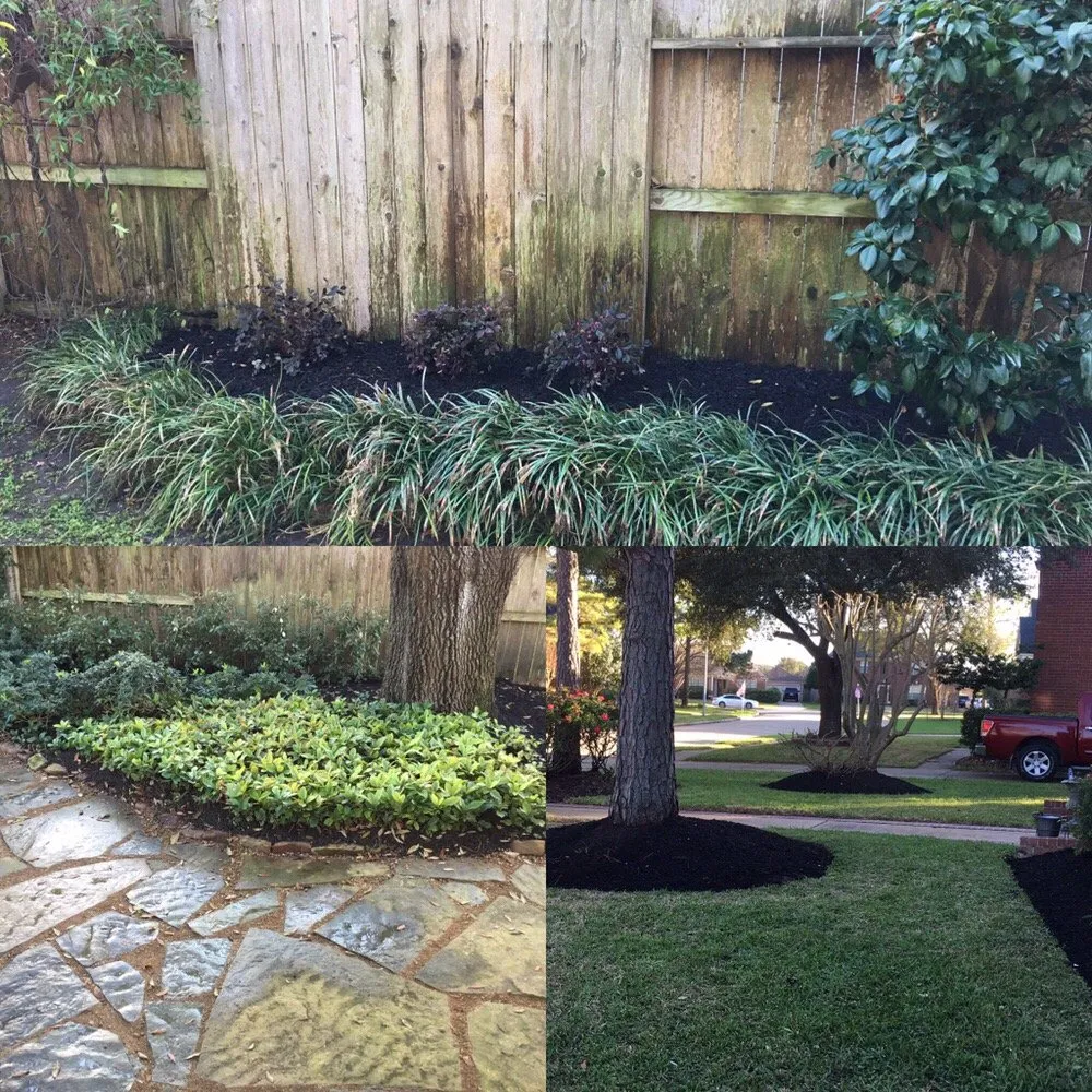 Professional outdoor landscaping for year-round maintenance across Houston, TX - Greenscapes Landscape & Irrigation