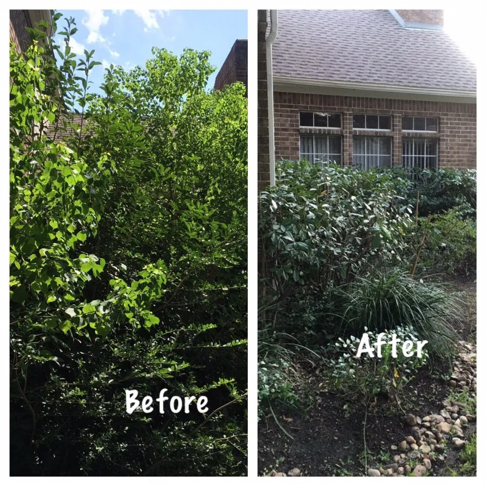 Affordable yard maintenance for outdoor upgrades in Houston, TX by Greenscapes Landscape & Irrigation