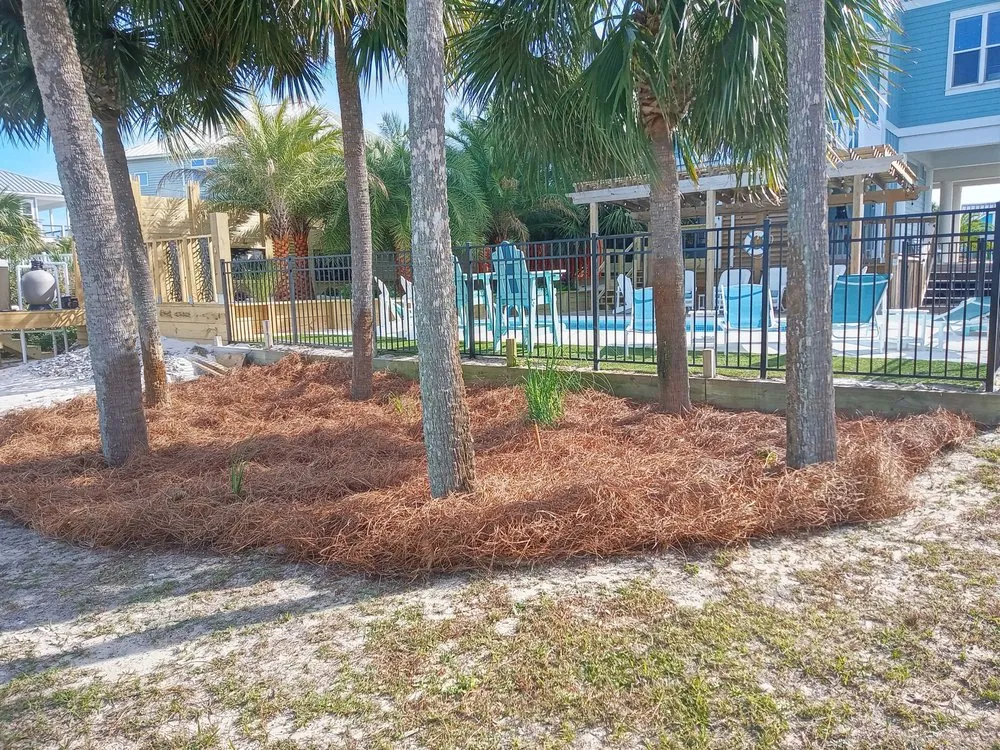 Expert outdoor landscaping experts serving Eastpoint, FL - Greenscapes Landscape Management