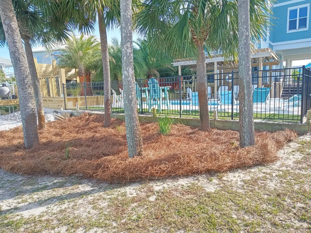 Trusted yard maintenance for year-round maintenance across Eastpoint, FL - Greenscapes Landscape Management