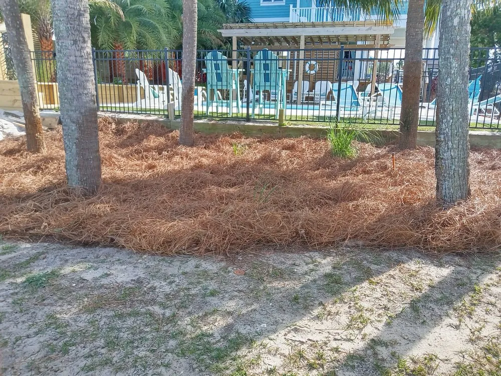 Local landscaping services in Eastpoint, FL by Greenscapes Landscape Management