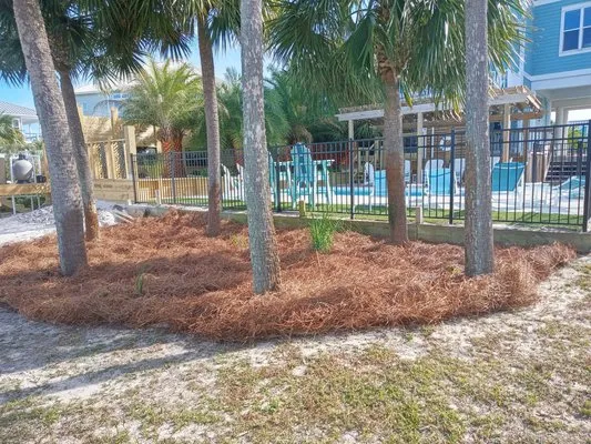 Greenscapes Landscape Management