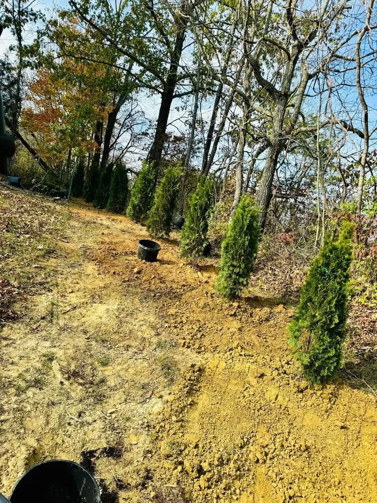 Affordable yard maintenance experts serving Bardstown, KY - Greenscapes Landscaping & Home Solutions
