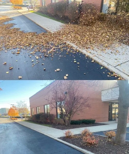 Local yard cleanup service in Elgin, IL by Greenscapes Landscaping