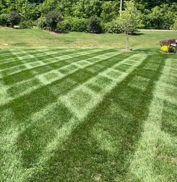 Affordable landscape installation for outdoor upgrades across Elgin, IL - Greenscapes Landscaping