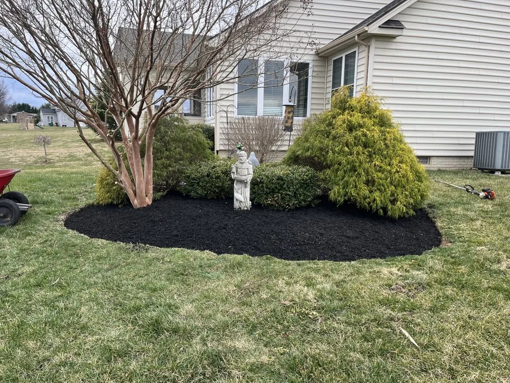 Affordable yard cleanup service near you across Charles Town, WV - GreenScapes Law Care