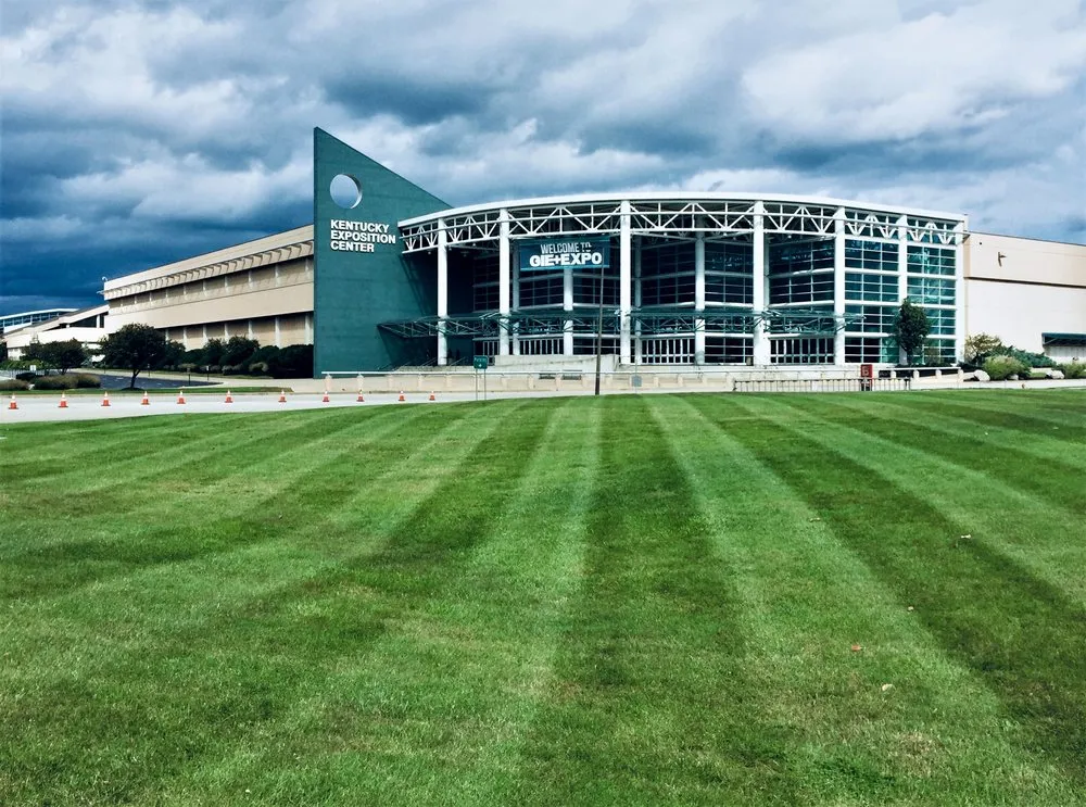 Professional yard cleanup service for beautiful yards across Louisville, KY - Greenscapes Lawn and Landscaping