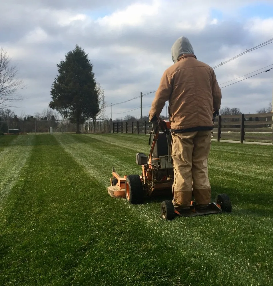 Reliable yard cleanup service for residential properties across Louisville, KY - Greenscapes Lawn and Landscaping