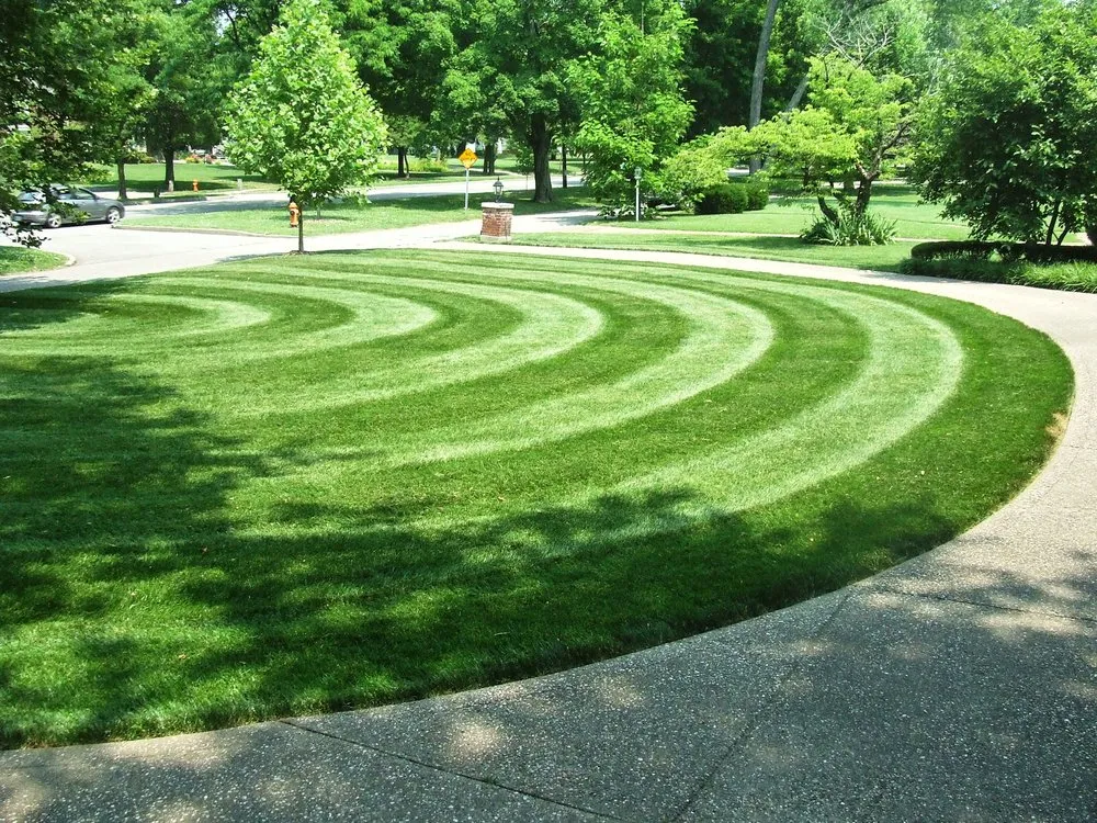 Trusted yard maintenance in Louisville, KY by Greenscapes Lawn and Landscaping