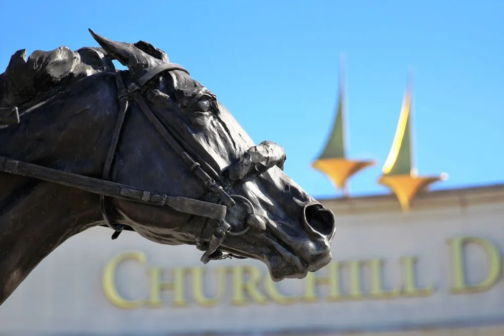 Professional yard cleanup service in Louisville, KY - Greenscapes Lawn and Landscaping