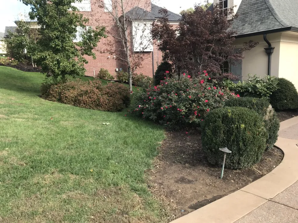 Professional landscaping services near you across Nashville, TN - Greenscapes Lawn Maintenance