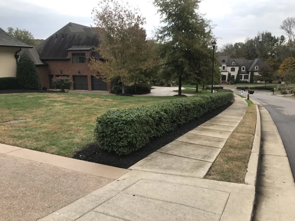 Expert lawn care service experts serving Nashville, TN - Greenscapes Lawn Maintenance