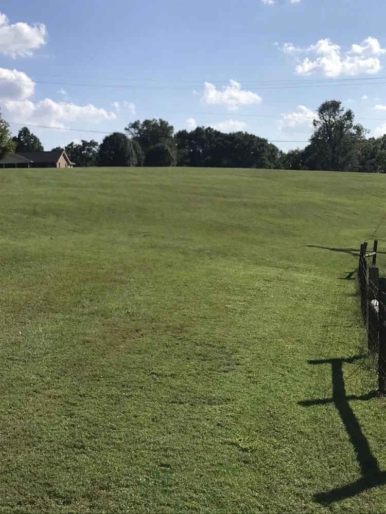 Expert lawn mowing service in Nashville, TN by Greenscapes Lawn Maintenance