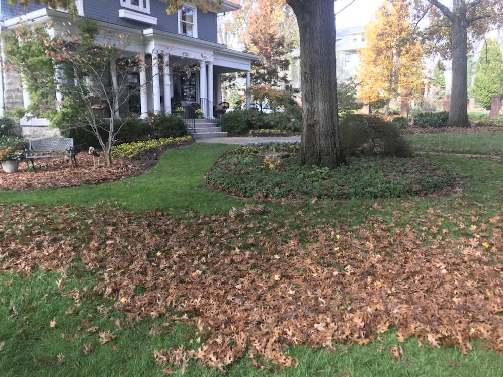 Custom outdoor landscaping experts serving Nashville, TN - Greenscapes Lawn Maintenance