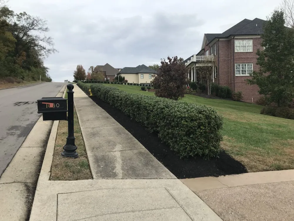 Affordable landscaping services experts serving Nashville, TN - Greenscapes Lawn Maintenance