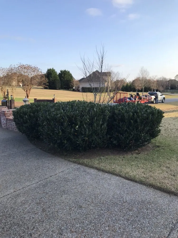 Expert yard cleanup service with custom design across Nashville, TN - Greenscapes Lawn Maintenance