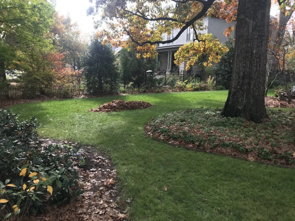 Reliable landscaping services in Nashville, TN by Greenscapes Lawn Maintenance