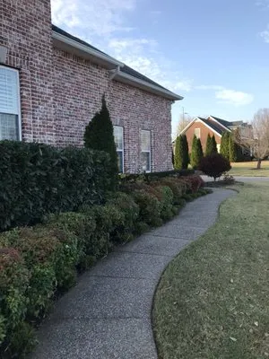 Greenscapes Lawn Maintenance Logo