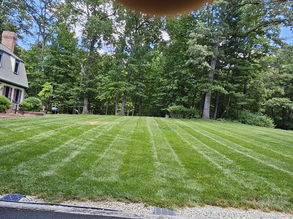 Affordable landscape installation in Chesterfield, VA by Greenscapes Lawncare