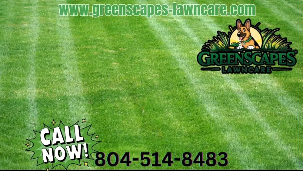 Top-rated lawn mowing service for outdoor upgrades across Chesterfield, VA - Greenscapes Lawncare