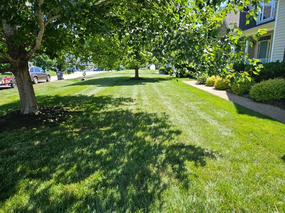 Affordable outdoor landscaping near you across Chesterfield, VA - Greenscapes Lawncare