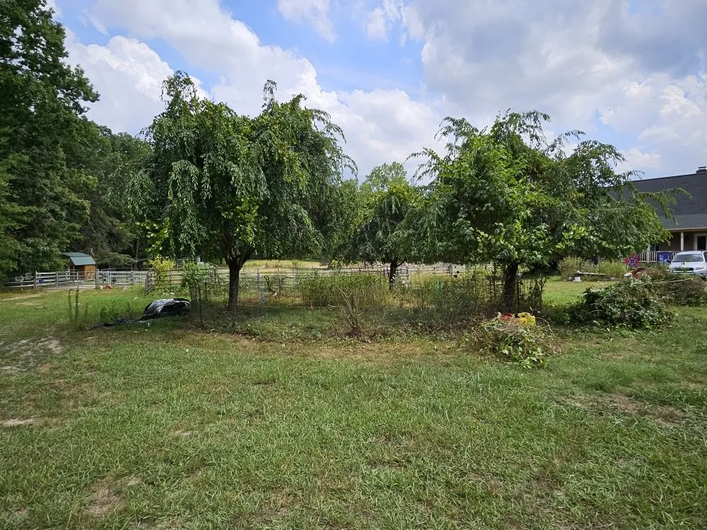 Expert yard maintenance for year-round maintenance across Chesterfield, VA - Greenscapes Lawncare