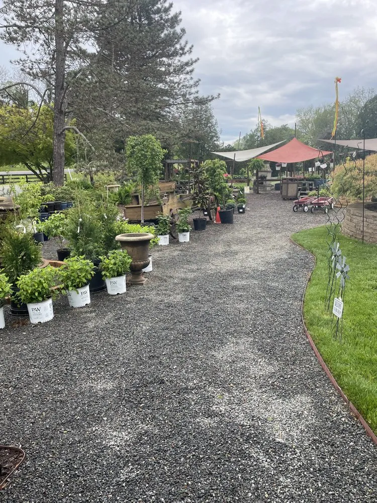 Expert landscape design in Madison, VA - Greenscapes Nursery And Garden Shoppe