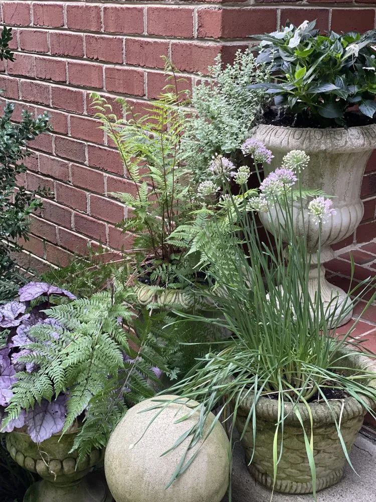 Local lawn mowing service experts serving Madison, VA - Greenscapes Nursery And Garden Shoppe