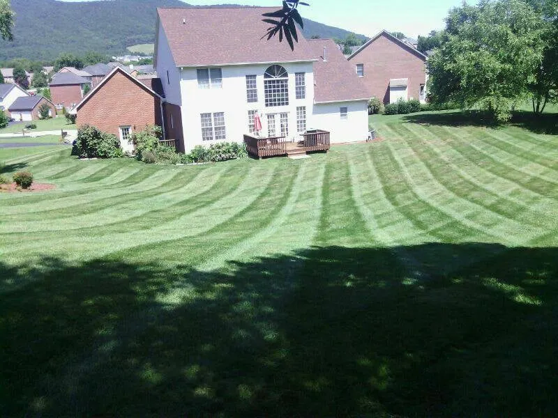 Expert outdoor landscaping for beautiful yards across Roanoke, VA - GreenScapes