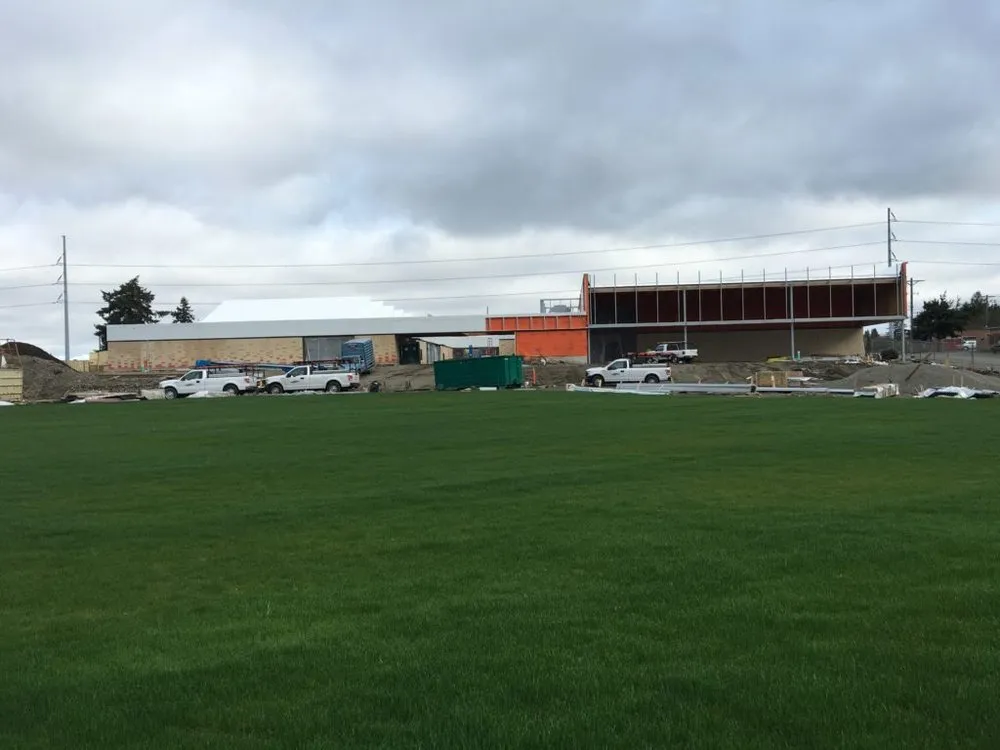 Top-rated lawn care service experts serving Ruston, WA - Greenscapes