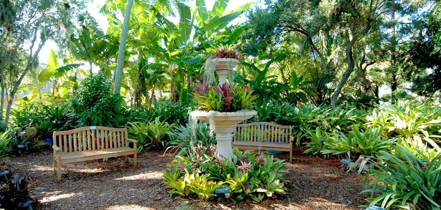 Affordable yard maintenance in Sarasota, FL - Greenscapes