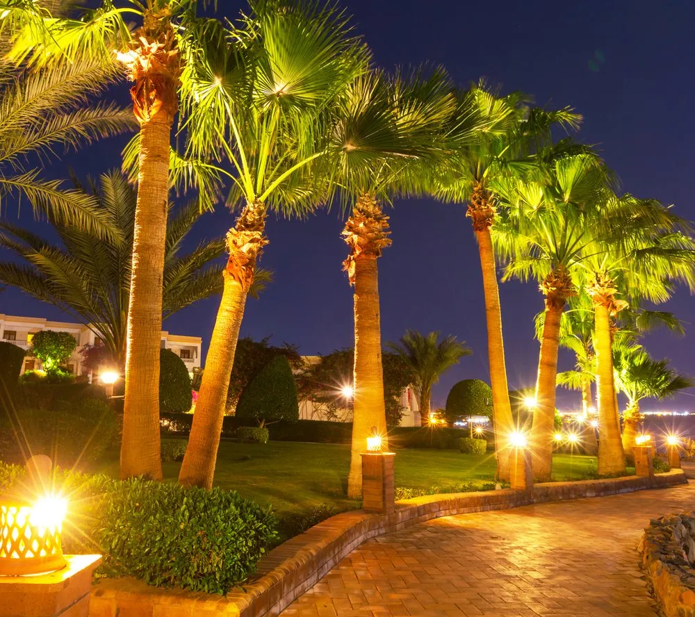 Professional lawn care service for beautiful yards in Sarasota, FL by Greenscapes