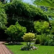 Affordable landscape installation experts serving Sarasota, FL - Greenscapes