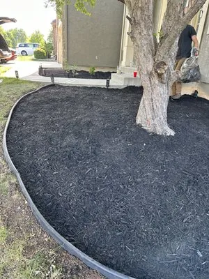 Greenscapes Solutions