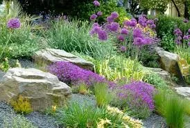 Expert yard maintenance for beautiful yards across Tahoe City, CA - Greenscapes