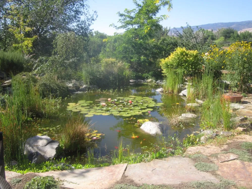 Affordable outdoor landscaping in Tahoe City, CA - Greenscapes