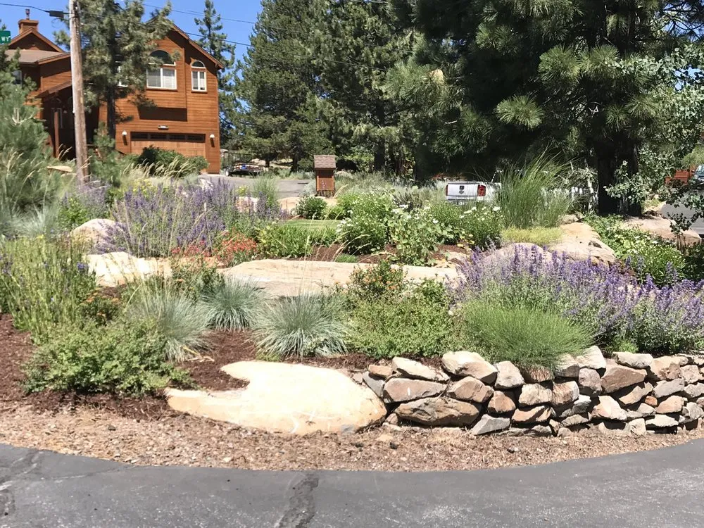 Professional landscape installation in Tahoe City, CA by Greenscapes