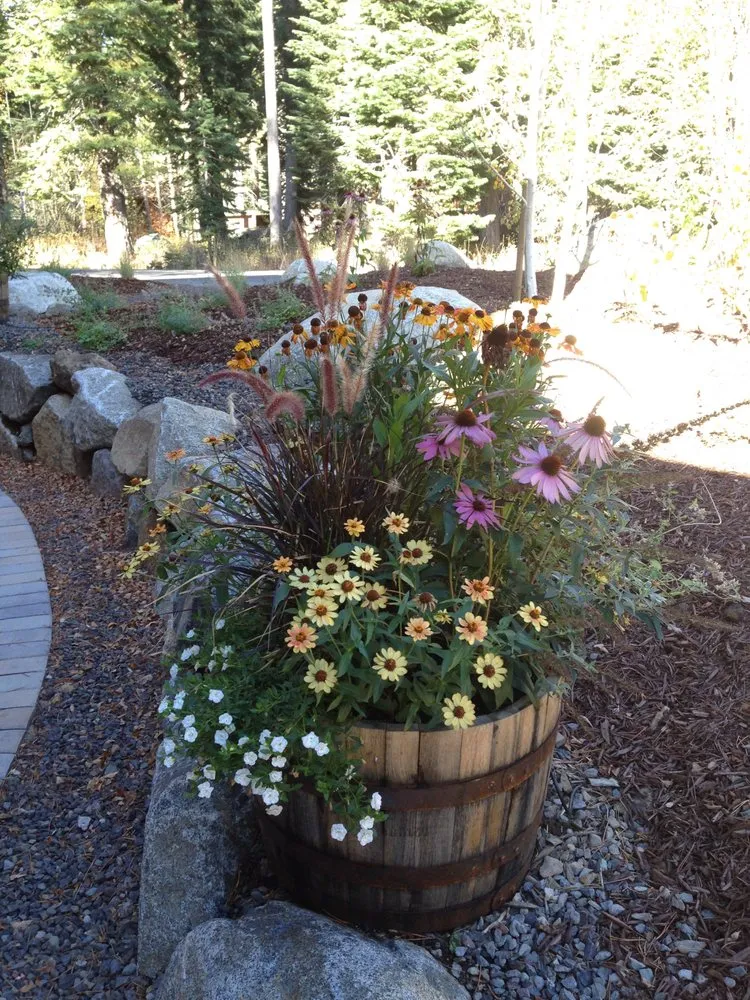 Expert lawn mowing service for year-round maintenance across Tahoe City, CA - Greenscapes