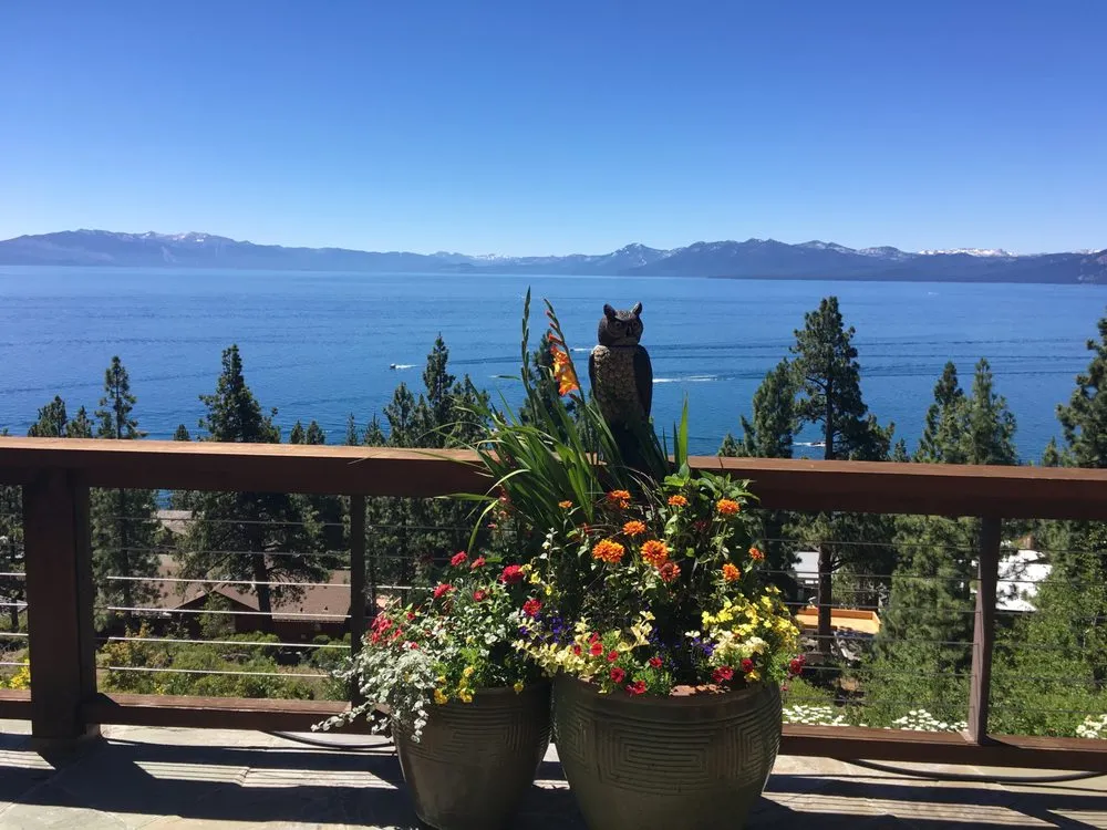 Trusted landscape design experts serving Tahoe City, CA - Greenscapes