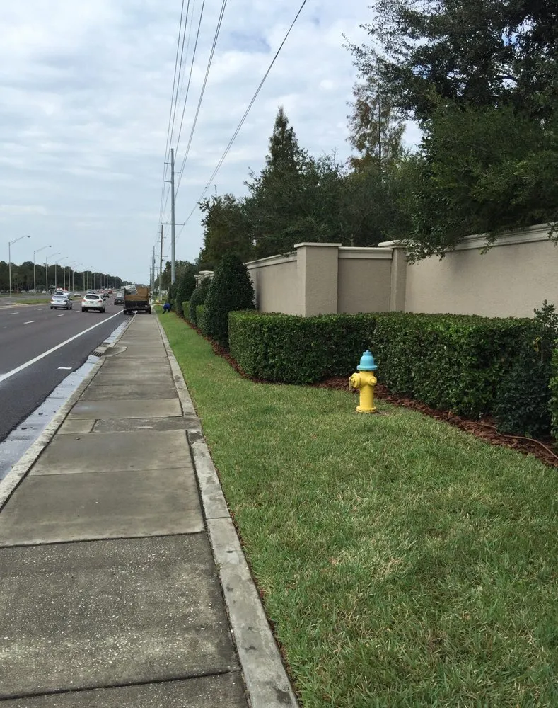 Custom lawn mowing service in Holiday, FL - Greenscene Lawn & Landscape