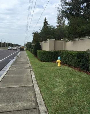 Greenscene Lawn & Landscape Logo