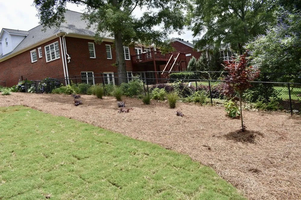 Custom yard cleanup service experts serving Danielsville, GA - Greenscenez Landscape Management