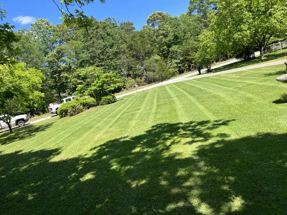 Top-rated yard cleanup service for beautiful yards across Danielsville, GA - Greenscenez Landscape Management