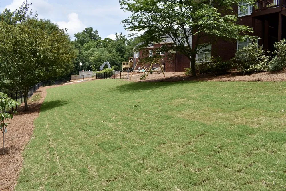 Top-rated landscape installation in Danielsville, GA - Greenscenez Landscape Management