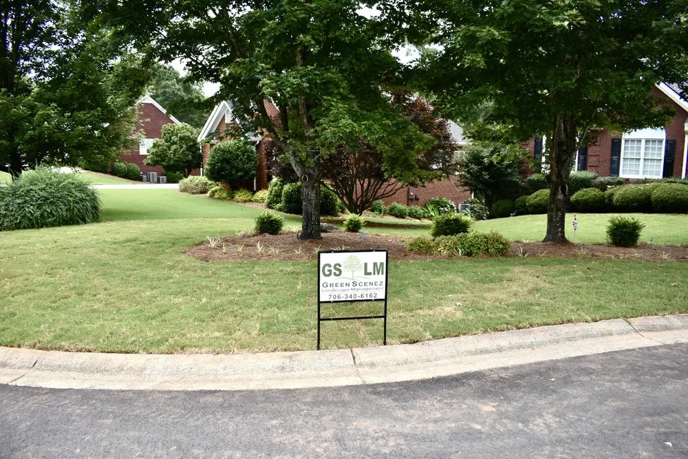 Professional yard cleanup service for outdoor upgrades in Danielsville, GA by Greenscenez Landscape Management