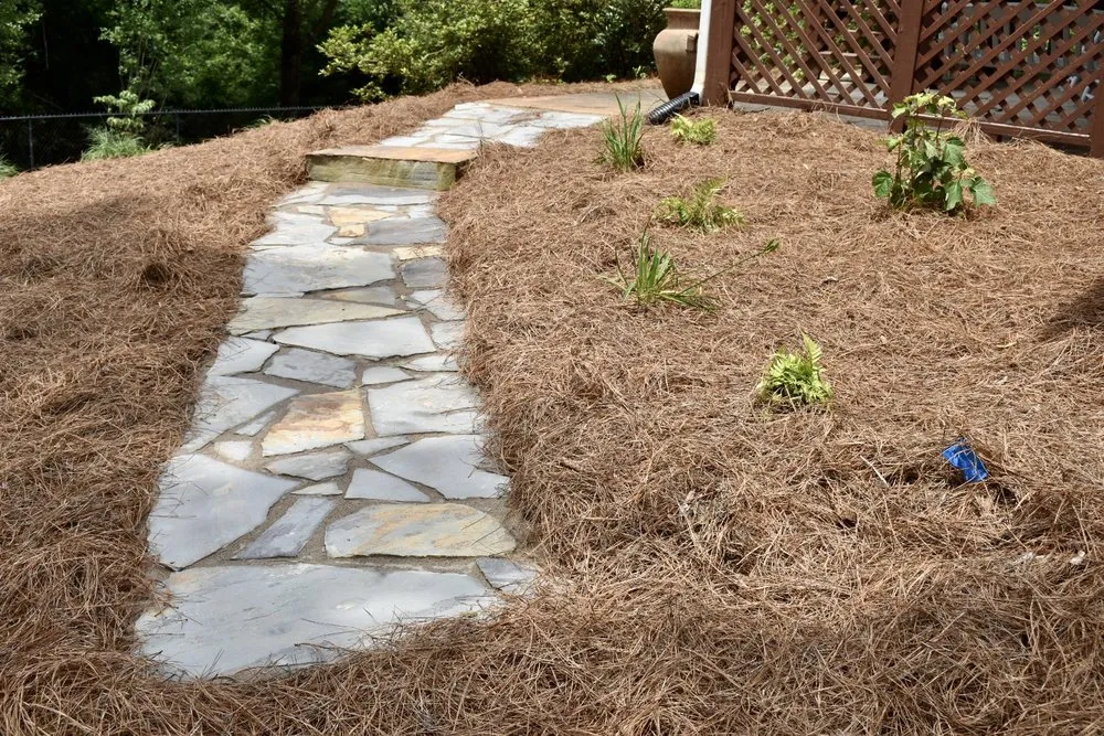 Professional landscape installation for year-round maintenance in Danielsville, GA by Greenscenez Landscape Management