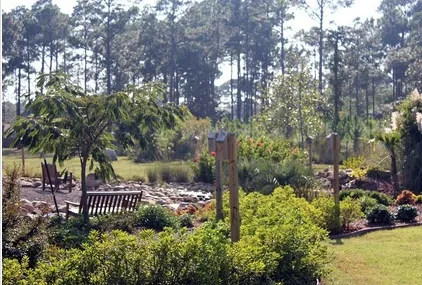 Reliable lawn mowing service experts serving Greenwell Springs, LA - GreenSeasons